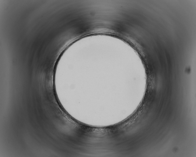 X0000099971322200806201352