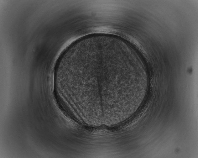 X0000099971323200806201352