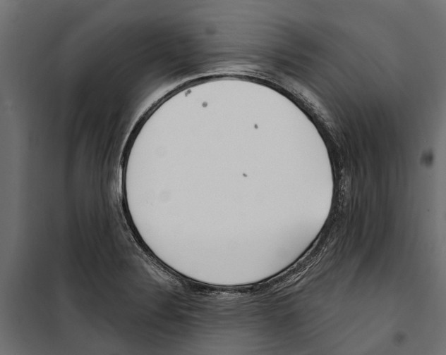 X0000099971324200806201352