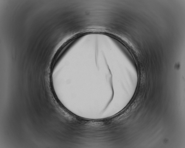 X0000099971325200806201352