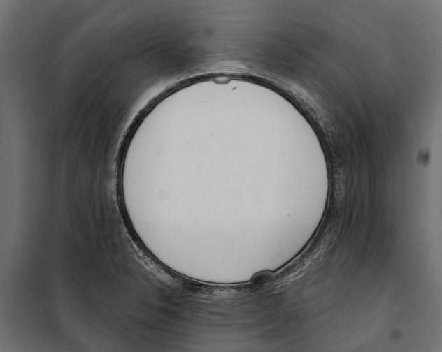 X0000099971326200806201352