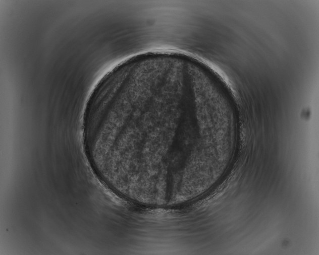 X0000099971327200806201352