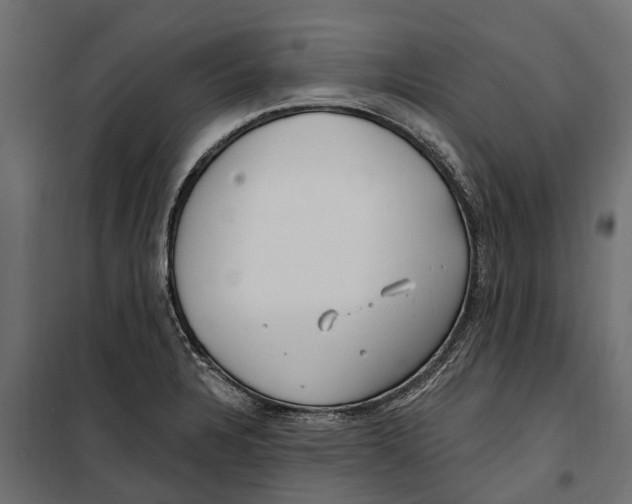 X0000099971328200806201352