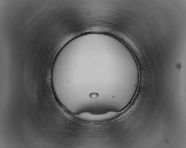 X0000099971329200806201352