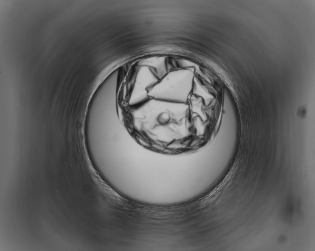 X0000099971330200806201352