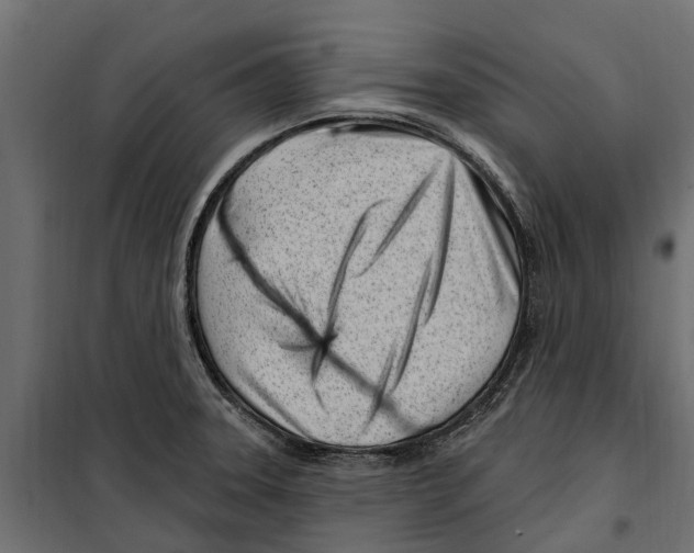 X0000099971331200806201352