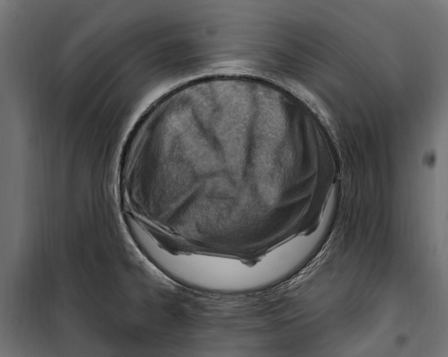 X0000099971334200806201352