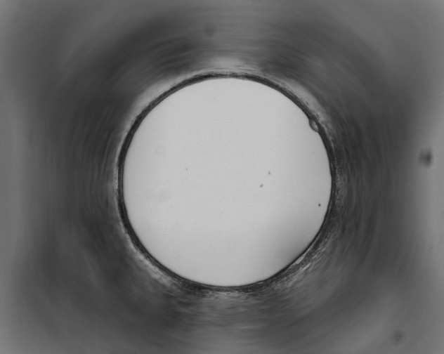 X0000099971335200806201352