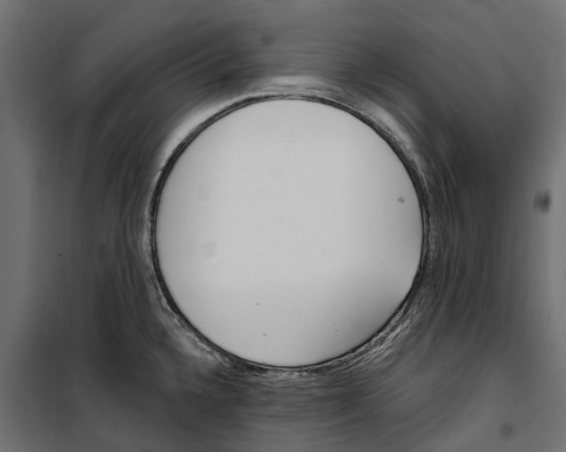 X0000099971336200806201352