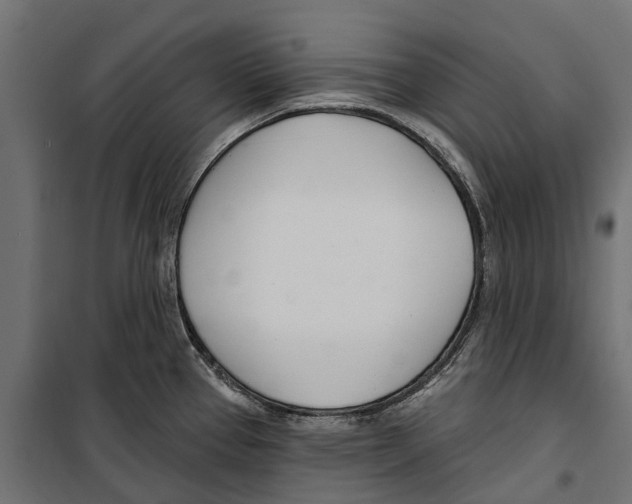 X0000099971337200806201352