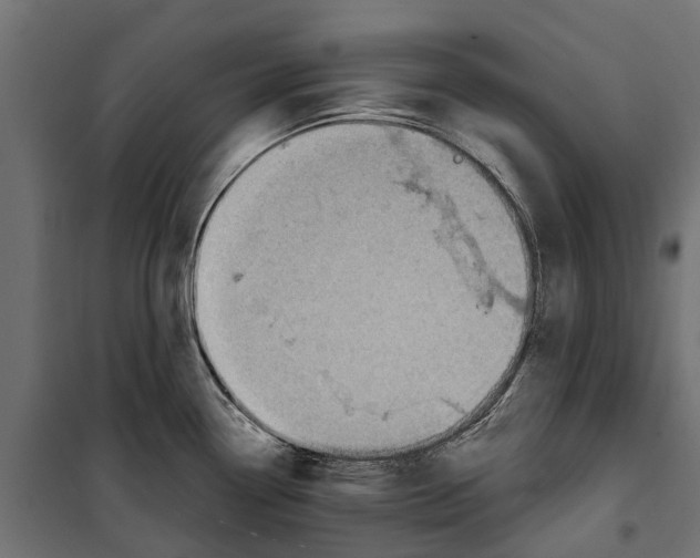 X0000099971338200806201352