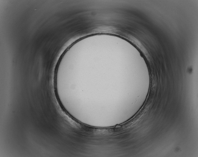 X0000099971339200806201352