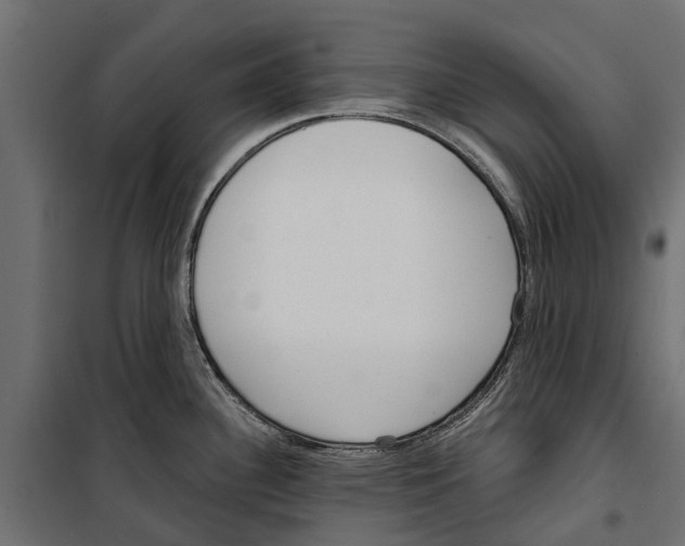 X0000099971340200806201352