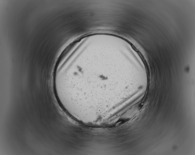 X0000099971341200806201352