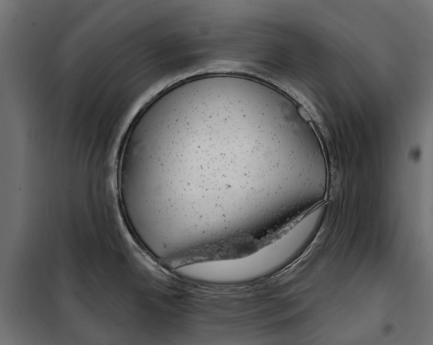 X0000099971342200806201352