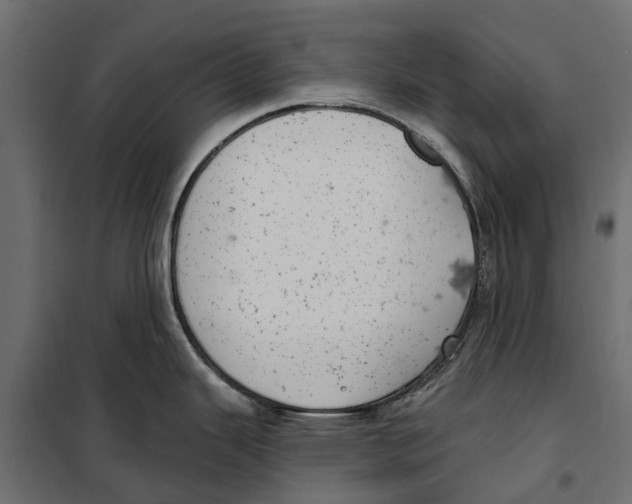 X0000099971343200806201352