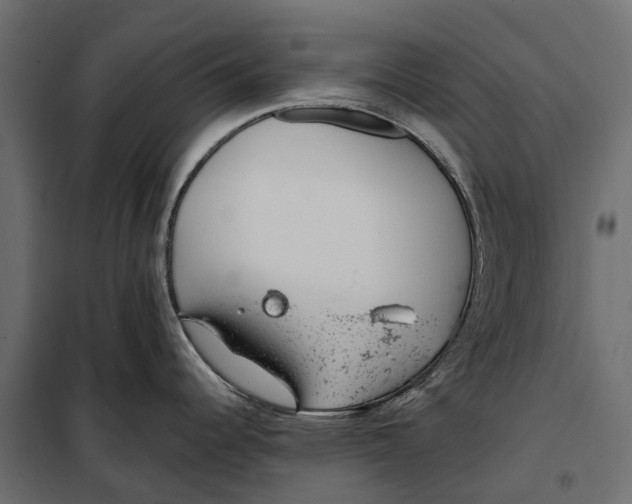 X0000099971344200806201352