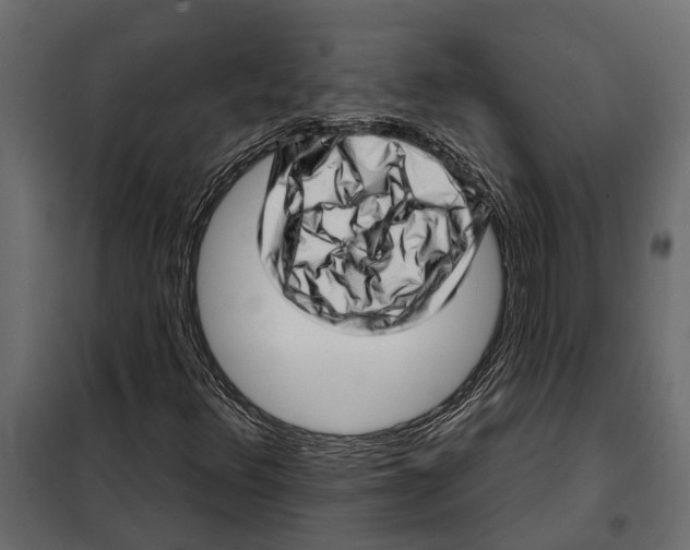 X0000099971348200806201351