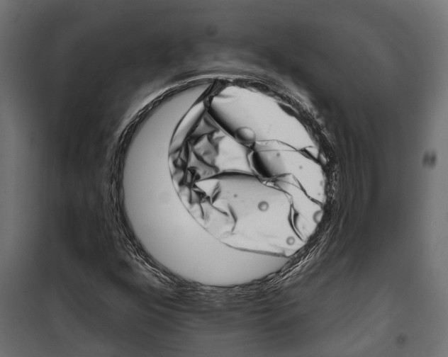 X0000099971352200806201351