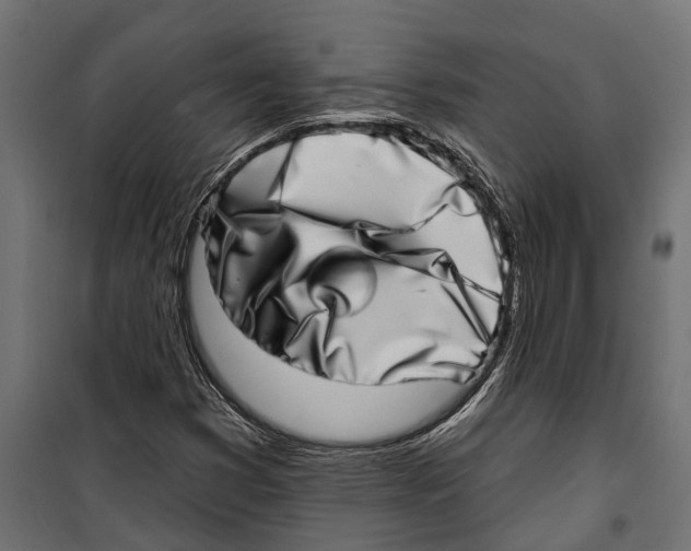 X0000099971353200806201351