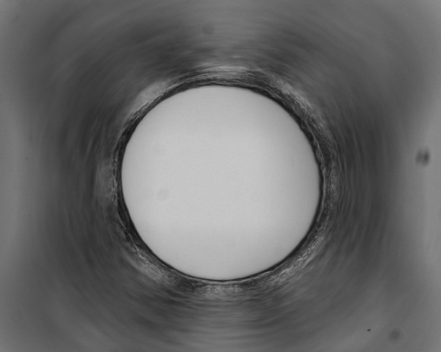 X0000099971354200806201351