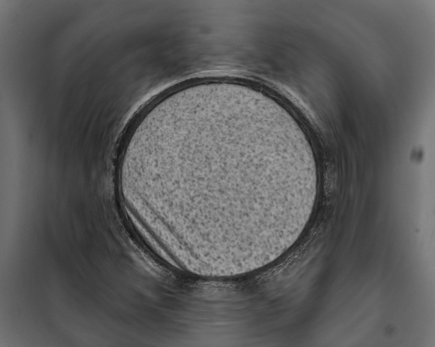 X0000099971356200806201351