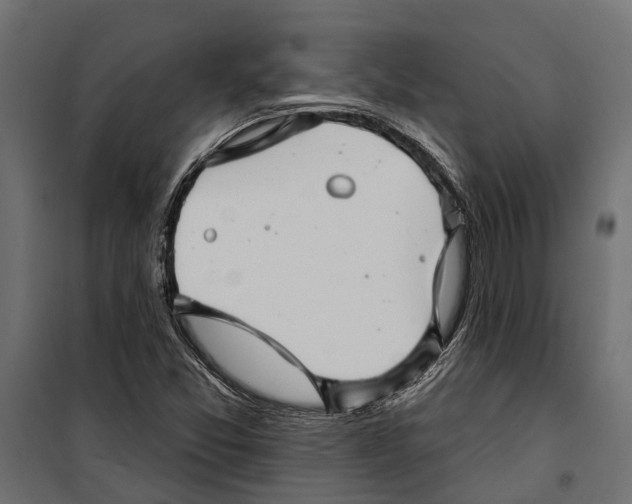 X0000099971357200806201351