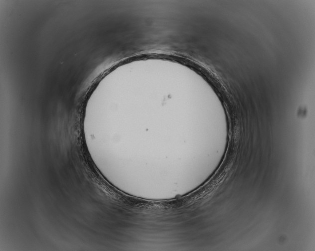 X0000099971359200806201351