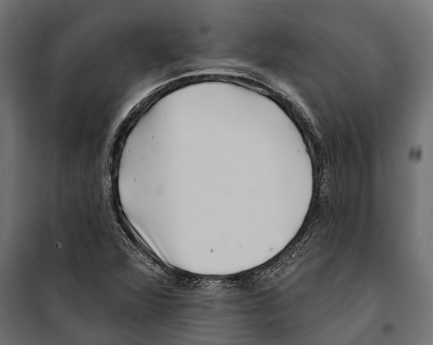 X0000099971360200806201351