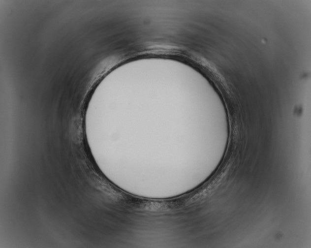 X0000099971362200806201351