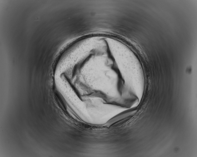 X0000099971363200806201351