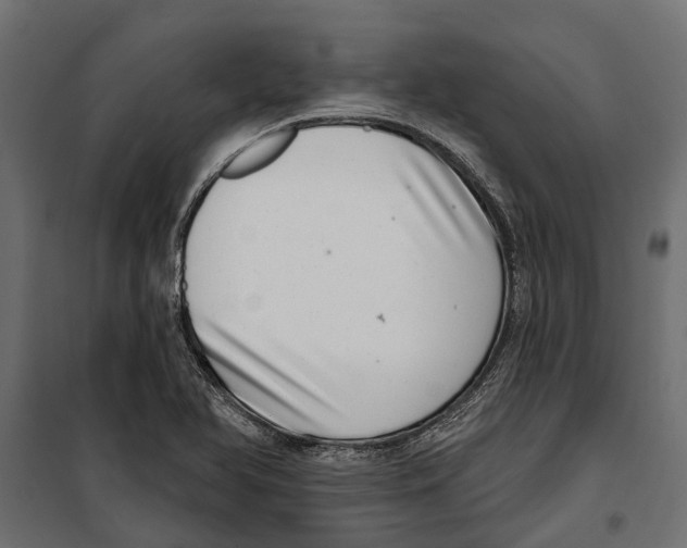 X0000099971366200806201351