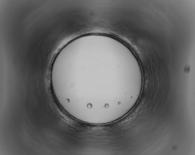 X0000099971367200806201351