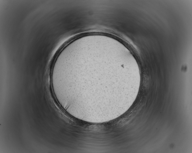 X0000099971368200806201351