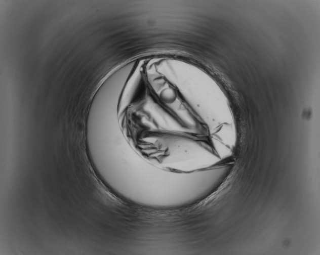 X0000099971369200806201351