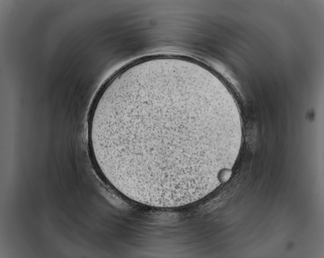 X0000099971372200806201351