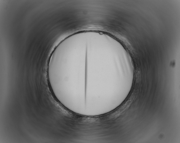 X0000099971374200806201351