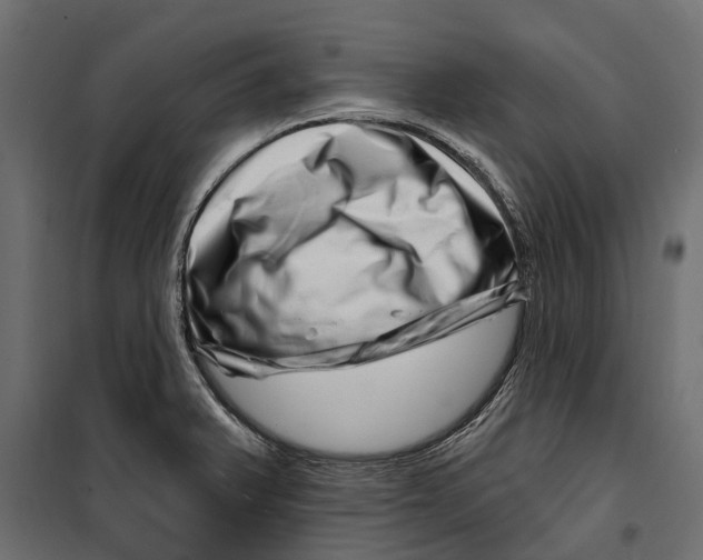 X0000099971375200806201351