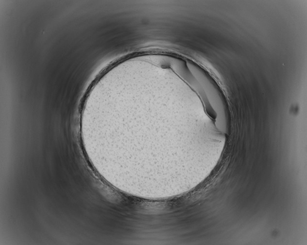 X0000099971376200806201351