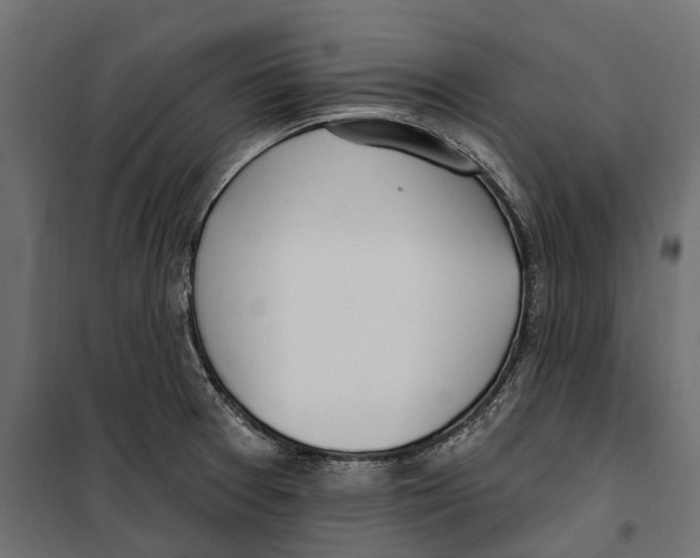 X0000099971377200806201351