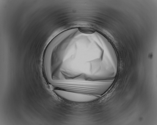 X0000099971378200806201351