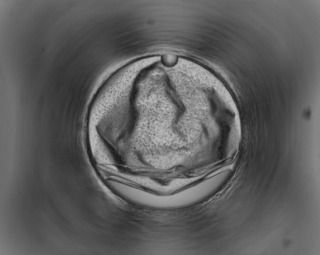 X0000099971379200806201351