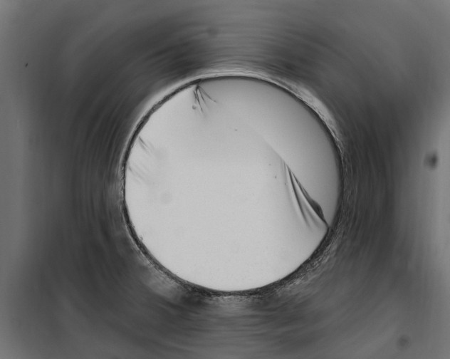 X0000099971380200806201351