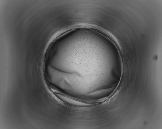 X0000099971381200806201351