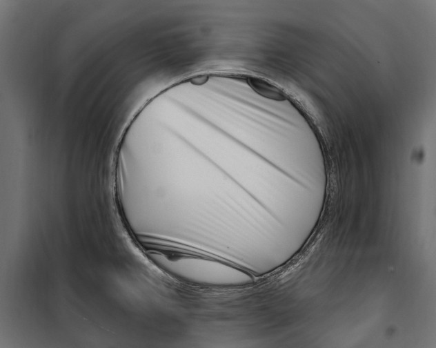 X0000099971382200806201351