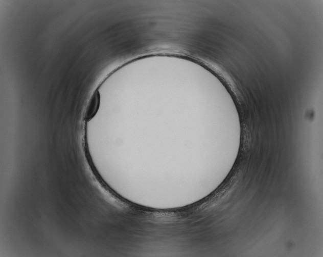 X0000099971383200806201351