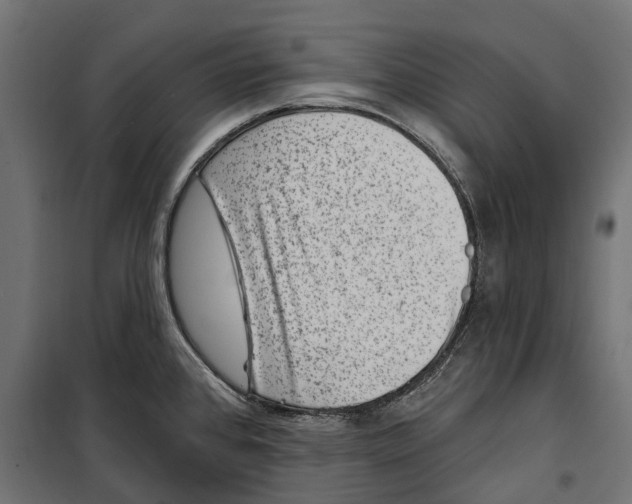 X0000099971384200806201351