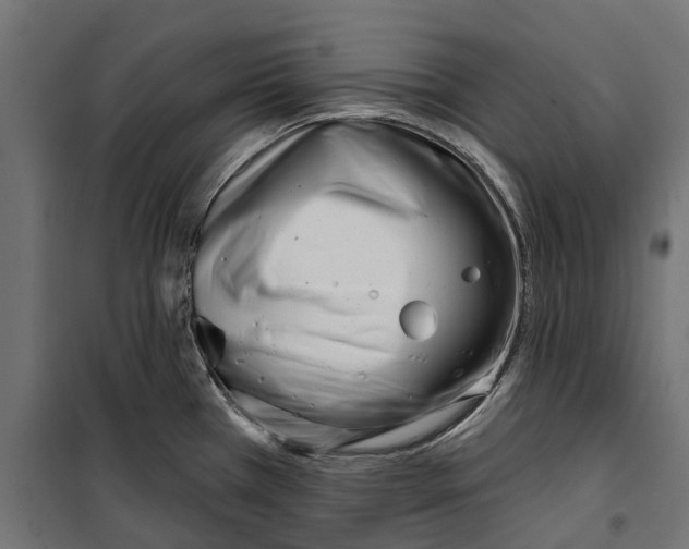 X0000099971385200806201351