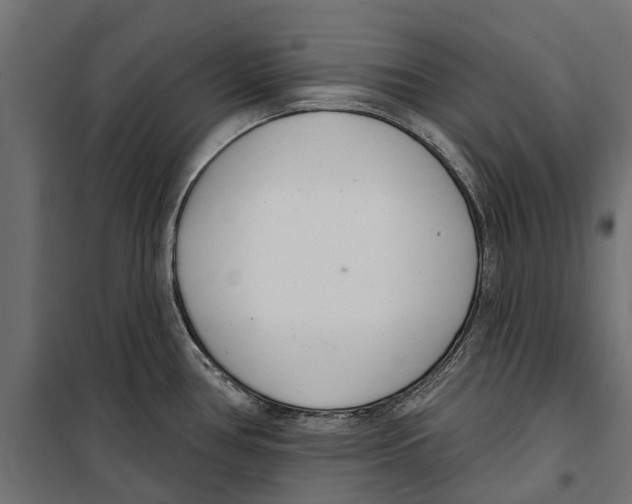 X0000099971386200806201351