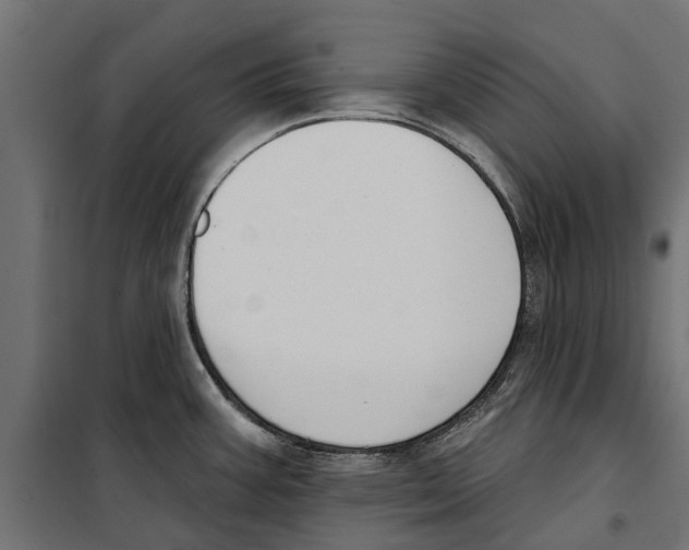 X0000099971387200806201351